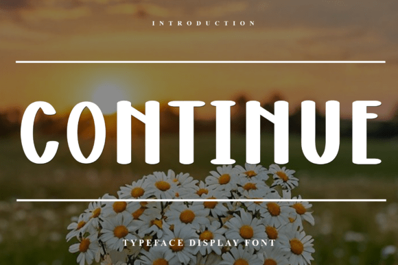 Continue: A Soft Display Font for Modern Design